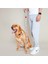 Dog.ist Happy Camper Premium Sürdürülebilir Küçük ve Büyük Irk Köpek Gezdirme Kayışı 2