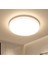 Modern Ledli Aavize 24W Metal Kasa 3200K Gün Işığı Banyo Balkon Wc Aydinlatma LED Armatur 2