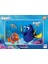 Ks Puzzle 24 Parça Kayıp Balık Dory Frame Puzzle 2