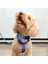 Dog.ist Ocean Premium Sürdürülebilir Küçük Irk H Tipi Köpek Göğüs Tasması 3