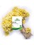 Altın Otu Demet 250G - Dwarf Everlasting 1