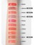 Nemlendirici Etkili Doğal Görünüm Sunan Sıvı Allık A'pieu Juicy-Pang Water Blusher (RD01) 4