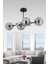 Shine 4'lü Siyah Füme Glob Camlı Modern Plafonyer Salon Yemek Masası Üstü Avize 1