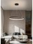 Karpos / Sarkıt Avize / Tekli Çember / 80 cm / Antrasit Gövde / 3 Renk Işık 3