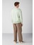 Waylen Erkek Regular Fit Kolej Baskılı Içi Polarlı Açık Yeşil Sweatshirt 5