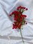35 cm Küçük boy Kokina Çiçeği Yılbaşı Çiçeği Kırmızı Kokina Yapay Kokina 1
