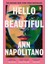 Hello Beautiful A Novel - Ann Napolitano 1