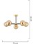 Nide 5li Siyah Gold Bal Camlı Modern Genç Odası Yatak Odası Retro Salon Avize 5