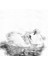 Dessin A Grain Ince Dokulu Çizim Bloğu 224 gr 20 Yaprak 2