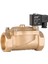 220V Ac Genel Maksat Normalde Açık Solenoid Valf 2" (0,5-16 Bar) 2