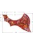 Solak Akustik Gitar Pickguard Seçim Koruması Çizilmez Plaka Kırmızı (Yurt Dışından) 5