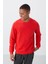 Fiesta Kompakt Pamuklu Kalın Pürüzsüz Dokulu O Yaka Standart Fit Erkek Sweatshirt -88405 1