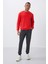 Fiesta Kompakt Pamuklu Kalın Pürüzsüz Dokulu O Yaka Standart Fit Erkek Sweatshirt -88405 2