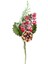 Kozalaklı Karlı Berry Noel Dekor 24cm 1