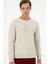 U.s. Polo Assn. Erkek Taş Sweatshirt 50293424-VR049 3