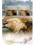 Lion 3D Pamuk Saten Çift Kişilik Nevresim Takımı 4