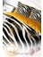 Lastikli Çarşaflı Pamuk Saten Çift Kişilik Zebra Feather Nevresim Takımı 3