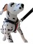 Köpek göğüs tasması orta ve büyük ırk kot göğüs ölçüsü:50-85cm boyun ölçüsü:40-60cm ayarlamalı dog harness GT3-4 3