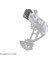 Sram Eagle Axs Rd Pil Koruyucu 2