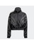 IW5678 Pıpıng Tracktop 2