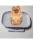 1g 10 kg Pet Köpek Kedi Hayvan Ölçeği Dijital Bebek Bebek Ağırlık Ölçeği (Kg / Oz / Lb) | Tartım Ölçekleri (Yurt Dışından) 3