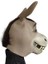Hayvan Maskesi Başlık Shrek Eşek Maskesi Masquerade Parti Sahne (Yurt Dışından) 3