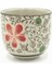 Geleneksel Çin Tarzı Handpainted Seramik Çay Fincanı Çin Porselen Kahve Çay Bardağı H315 | Çay Fincanı (Yeşil) (Yurt Dışından) 4
