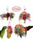 4 Paket / Setparrot Oyuncaklar Kanarya Oyuncaklar Kuş Çiğneme Oyuncaklar Papağan Kafesi Shredder Oyuncak Yemişleme Oyuncak | Kuş Oyuncakları (Yurt Dışından) 4