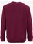 Mürdüm Erkek Bisiklet Yaka Relaxed Fit Sweatshirt D4WM-SWT3931 2