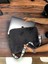 Toscase Peluş 13-13.3ınch Peluş Macbook, Laptop Çantası 2