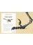 Dinosaurs And Other Prehistoric Life 2