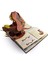 Encyclopedia Prehistorica Dinosaurs: The Definitive Pop-Up 3