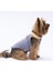 Gri Yukon Yelek Köpek Yeleği 3