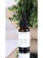 Nemlendirici - Hyaluronic Acid Hydrating Serum (30 ML) 1