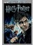Harry Potter Ve Ölüm Yadigarları 1 Film Posteri Baskı 1