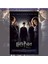 Harry Potter Ve Zümrüdüanka Yoldaşlığı Film Posteri Baskı 2