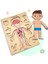 Insan Vücudunu Öğreniyoruz, Iç Organlar Montessori Eğitici Ahşap Puzzle Oyuncağı, Doktorculuk Oyunu 2