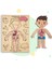 Insan Vücudunu Öğreniyoruz, Iç Organlar Montessori Eğitici Ahşap Puzzle Oyuncağı, Doktorculuk Oyunu 4