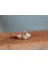 Morganite Pırlanta Yüzük 2