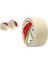 Vege Maskeleme Bandı 36MM x 30M 3ADET 2