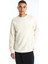 Xsıde Bisiklet Yaka Uzun Kollu Erkek Sweatshirt 1