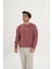 Unisex Pamuklu Içi Polarlı Bisiklet Yaka Sweatshirt 2