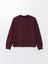 Lcw Vision Bisiklet Yaka Düz Oversize Kadın Sweatshirt 5