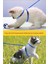 Krizantem Bel Boyun Göğüs Ayarlanabilir Kedi Tavşan Yavru Pet Gezdirme Tasması Uzun Kayışlı 3