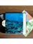 Momoko Kikuchi - Ocean Side 2