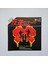Rhythm Heritage - Theme From S.w.a.t. / I Wouldn't Treat A Dog (The Way You Trea 1