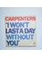 Carpenters - I Won't Last A Day Without You / One Love 2