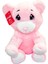 1173 Cute Ayı 30CM 4