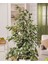 Tekno Trust Ficus Benjamin 90-110 cm 1