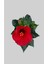 Tekno Trust Videolu Japon Gülü Kırmızı Renk Çiçekli 1 Adet Saksılı 20-40CM İç Mekan Teras Bitkisi (Hibiscus) 2